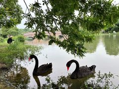 -瑶湖郊野森林公园