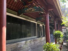-普陀山风景区-佛顶山