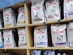 -芭比堂动物医院(广州爱宠下渡路分院)