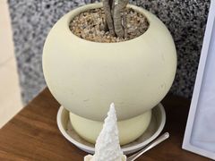 -野人先生Gelato(上海长宁龙之梦店)