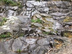 -周洛大峡谷