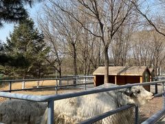 -长白岛森林公园