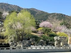 -北京西山国家森林公园