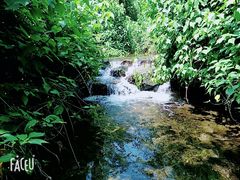 -重庆彩云湖湿地公园