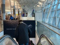 -约翰·菲茨杰拉德·肯尼迪国际机场