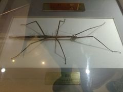 -上海昆虫博物馆