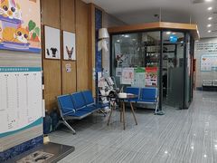 -瑞派名望志远动物医院·猫科·內科·异宠专科(直港大道店)