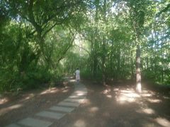 -长春市南湖公园