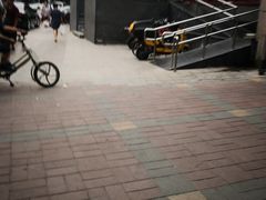 -眉州东坡(春秀路店)