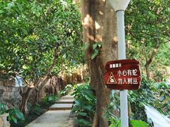 -小南山公园