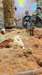 -Zoolung Zoolung动物主题公园(海信广场店)