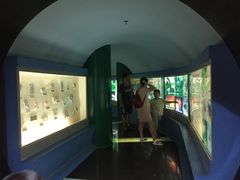 -上海昆虫博物馆