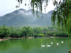 -西安秦岭野生动物园