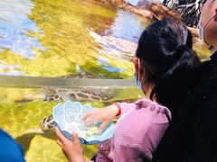 -江和美海洋公园