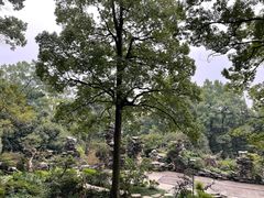 -南山植物园