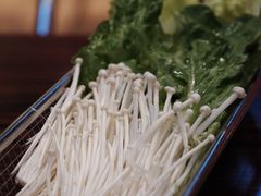 -沙胆彪炭炉牛杂煲(成都玉林店)