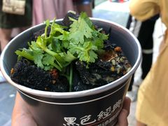 黑色经典臭豆腐-黑色经典臭豆腐·湖南特产(潇湘文化店)