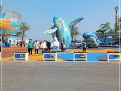 -海合安青岛极地海洋公园