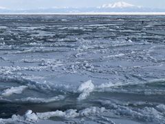 -网走流冰观光破冰船极光号