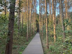-同里国家湿地公园