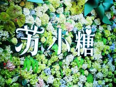 -苏小糖(鼓浪屿三丘田花园店)