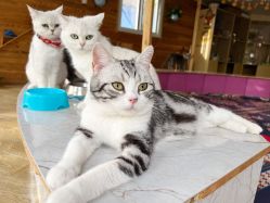 -萌宠亲子动物乐园(槐房万达店)