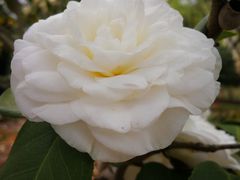 -白塘生态植物园