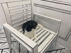 -白夜2D咖啡馆