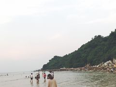 -杨梅坑
