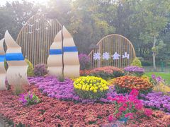 -上海共青森林公园