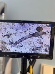 -Cream88颜皮肤管理中心