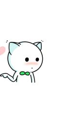 -花师傅
