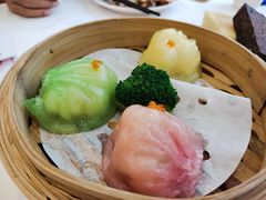-金华安大酒楼·老牌潮菜·粤式茶点(东方国际店)