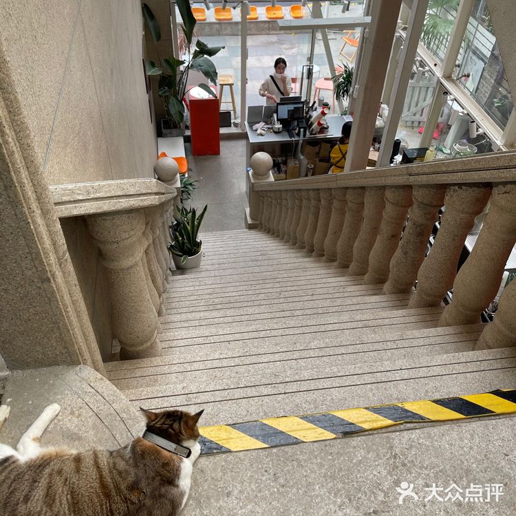 姨妈热饮丨关爱女性的饮品🥤