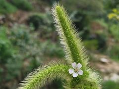 -抱龙峪