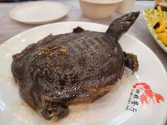 卤甲鱼仔-四妹餐厅(玫瑰街店)