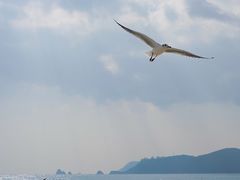 -海云台海滩