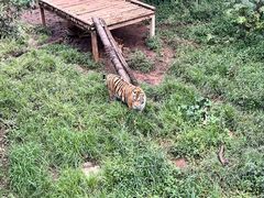-昆明动物园