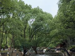 -东明山森林公园