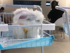 -怪兽屋·羊驼·猫咖·狗咖(俊华广场店)