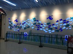 -新荟城(望京店)