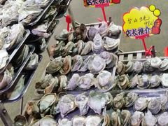-蚝专家(北滘店)