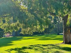 -墨尔本皇家植物园