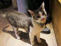 -小时光咖啡馆(开森度假森林店)