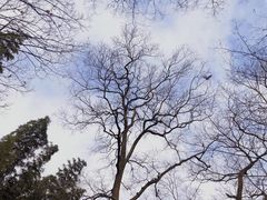 -菊花台公园