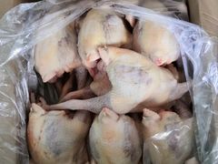 -无锡天鹏食品城