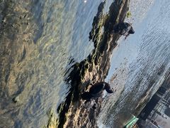 -靖西鹅泉风景区