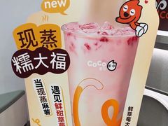 -CoCo都可(大华二店)