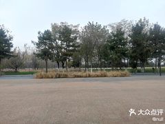 -汉长安城未央宫国家考古遗址公园