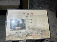 -苏州文庙(姑苏区)